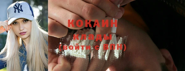мяу мяу мука Белокуриха